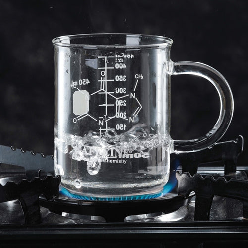 450Ml Thermal Insulation Double-Deck Glass High Borosilicate Flower Receptacle Innovative Mug Coffee Cup Double Wall Insulated